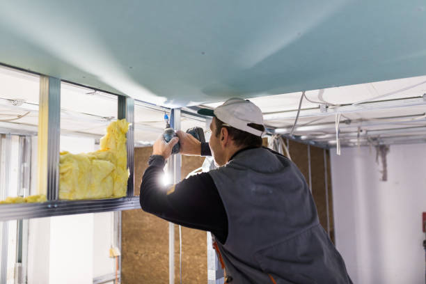 Best Geographic-Specific Insulation Services in Jackson, MS
