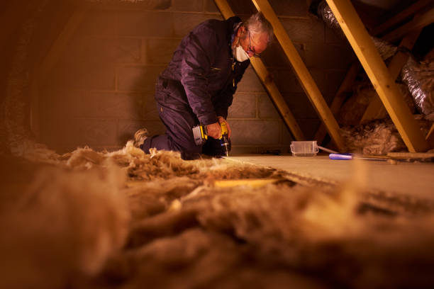 Best Eco-Friendly Insulation in Jackson, MS