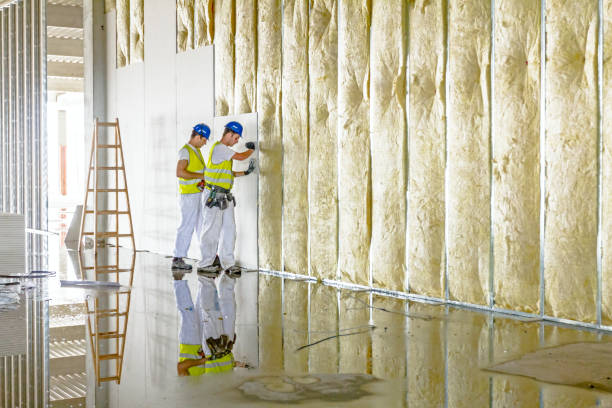 Best DIY Insulation Kits and Guidance in Jackson, MS